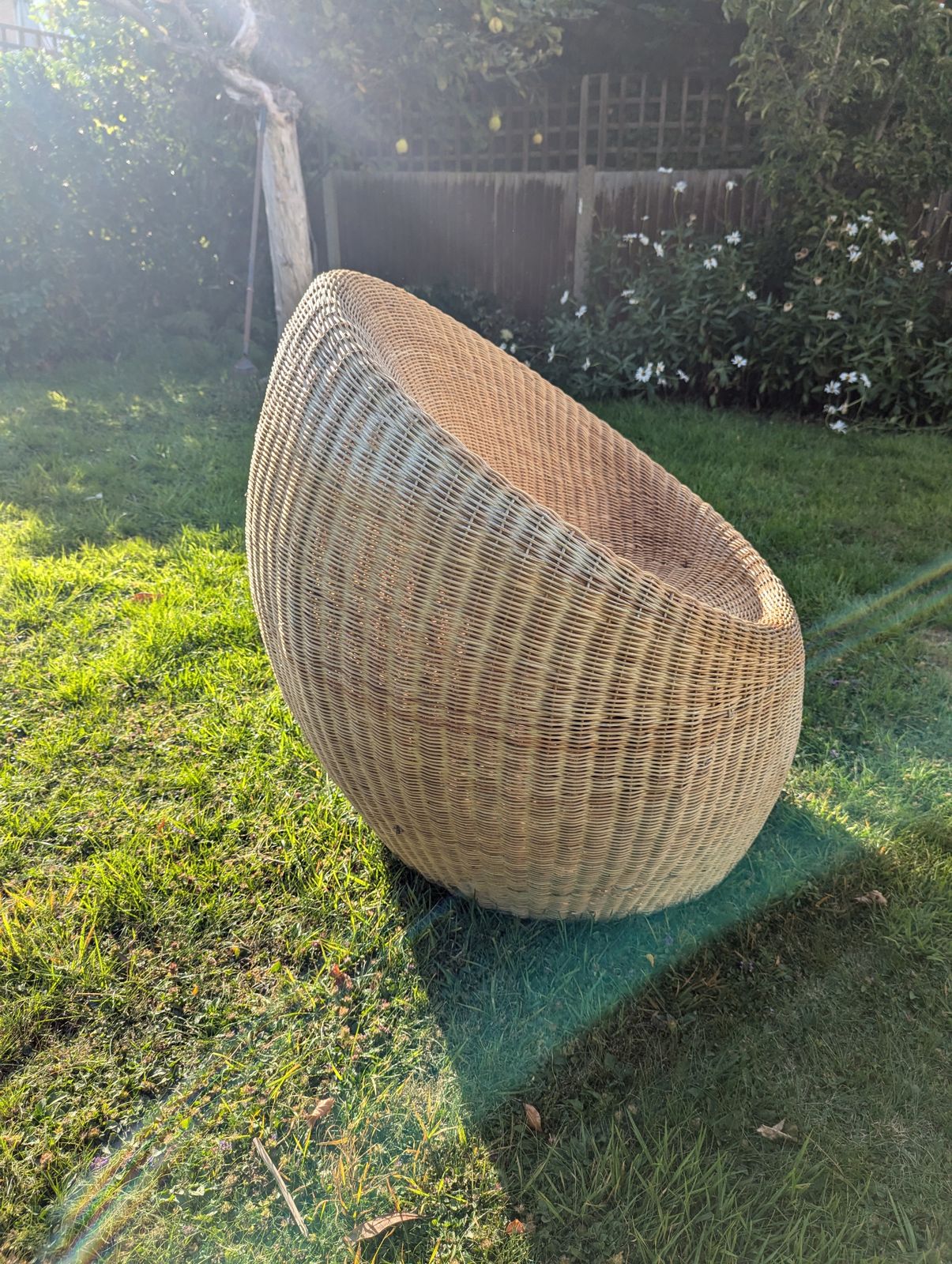 Rattan Egg Chair photo Garden Furniture