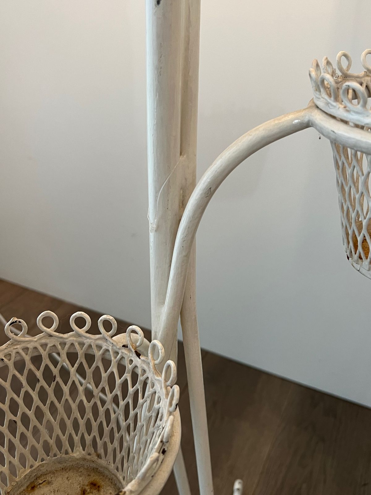 Floor Lamp Plant Holder Cap D'ail Collection By Mathieu Matégot photo vintage