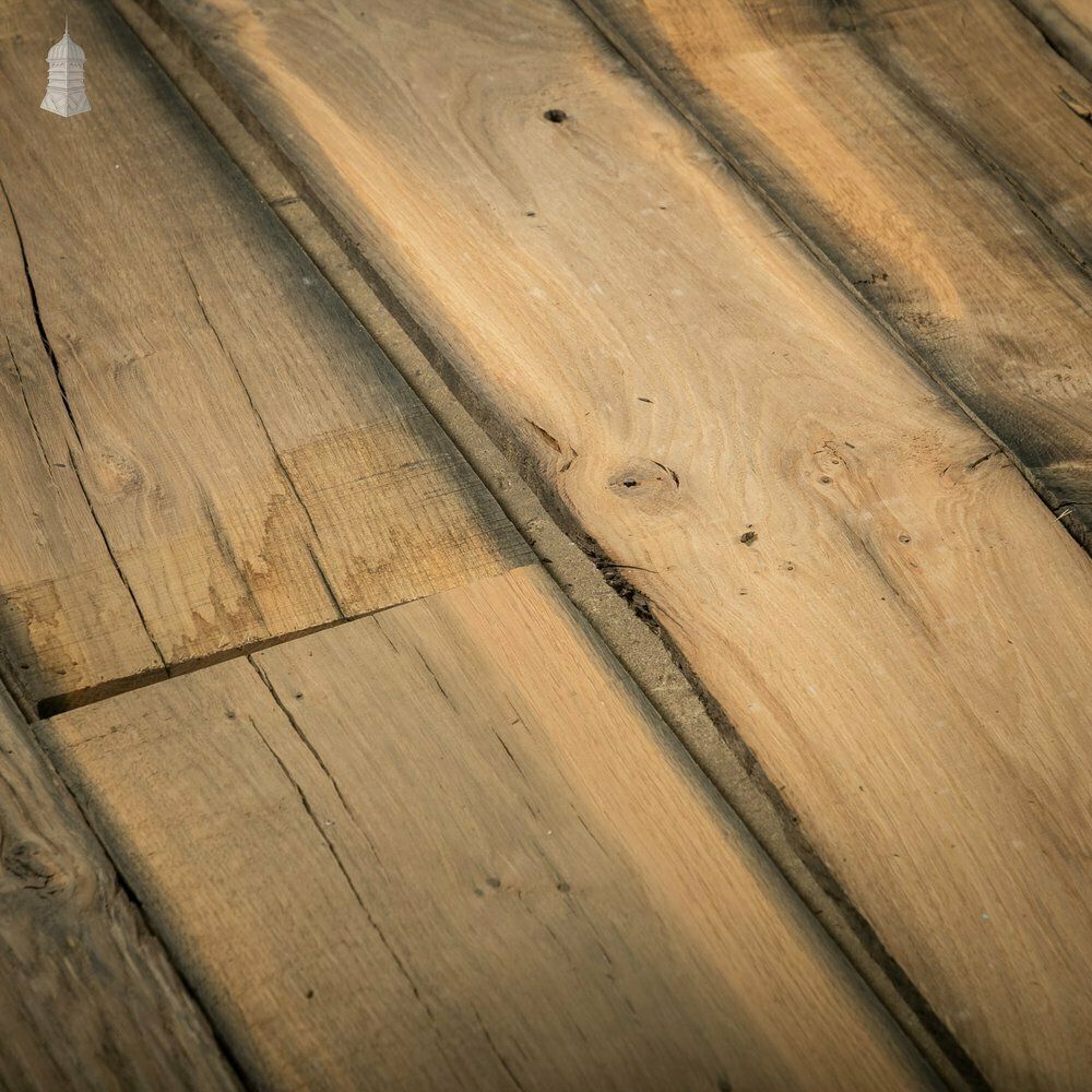 Bog Oak Boards, Batch Of 5.9 Square Metres photo vinterior