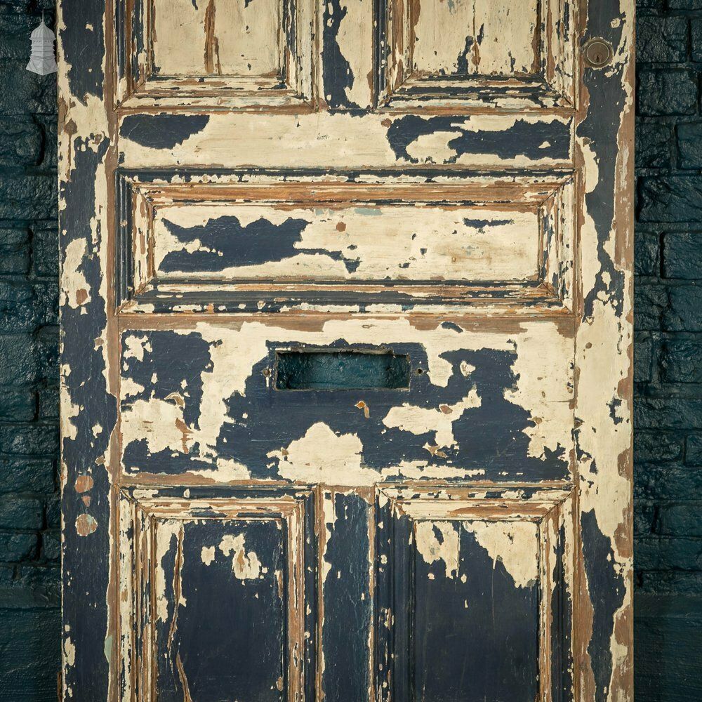 Oak Paneled Door, 5 Moulded Panel photo for sale