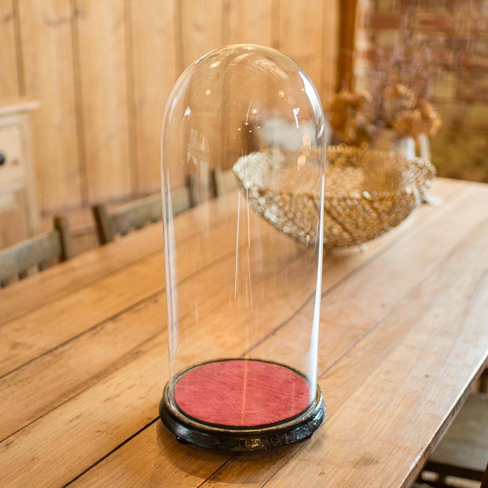 Tall Victorian Antique Collector's Dome, English Glass, Taxidermy Showcase, 1880 photo for sale