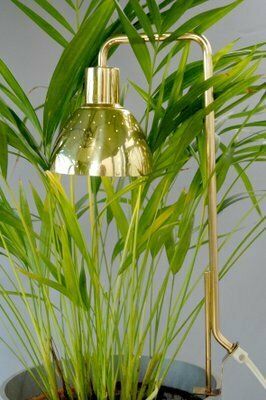 Model G98 Flower Lamp By Hans Agne Jakobsson For Haj Markaryd, 1960s photo buy