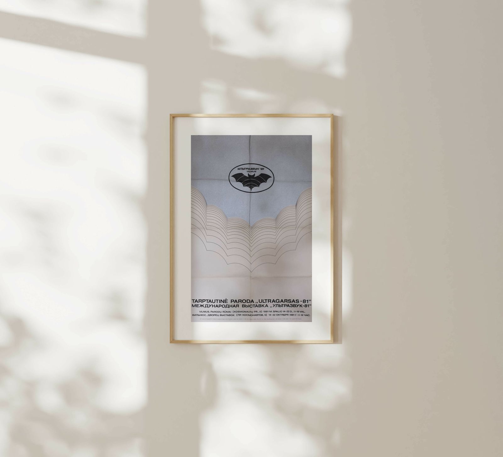 International Ultrasound Exhibition   Original Soviet Lithuanian Poster | 1981 photo for sale