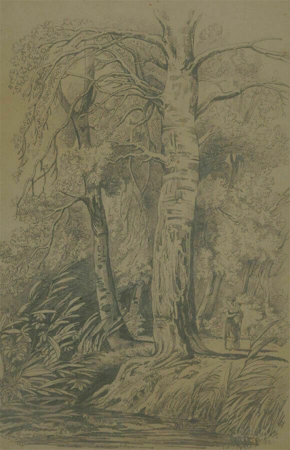 T.B. Bower   1846 Graphite Drawing, Woodland Scene With Figures photo furniture