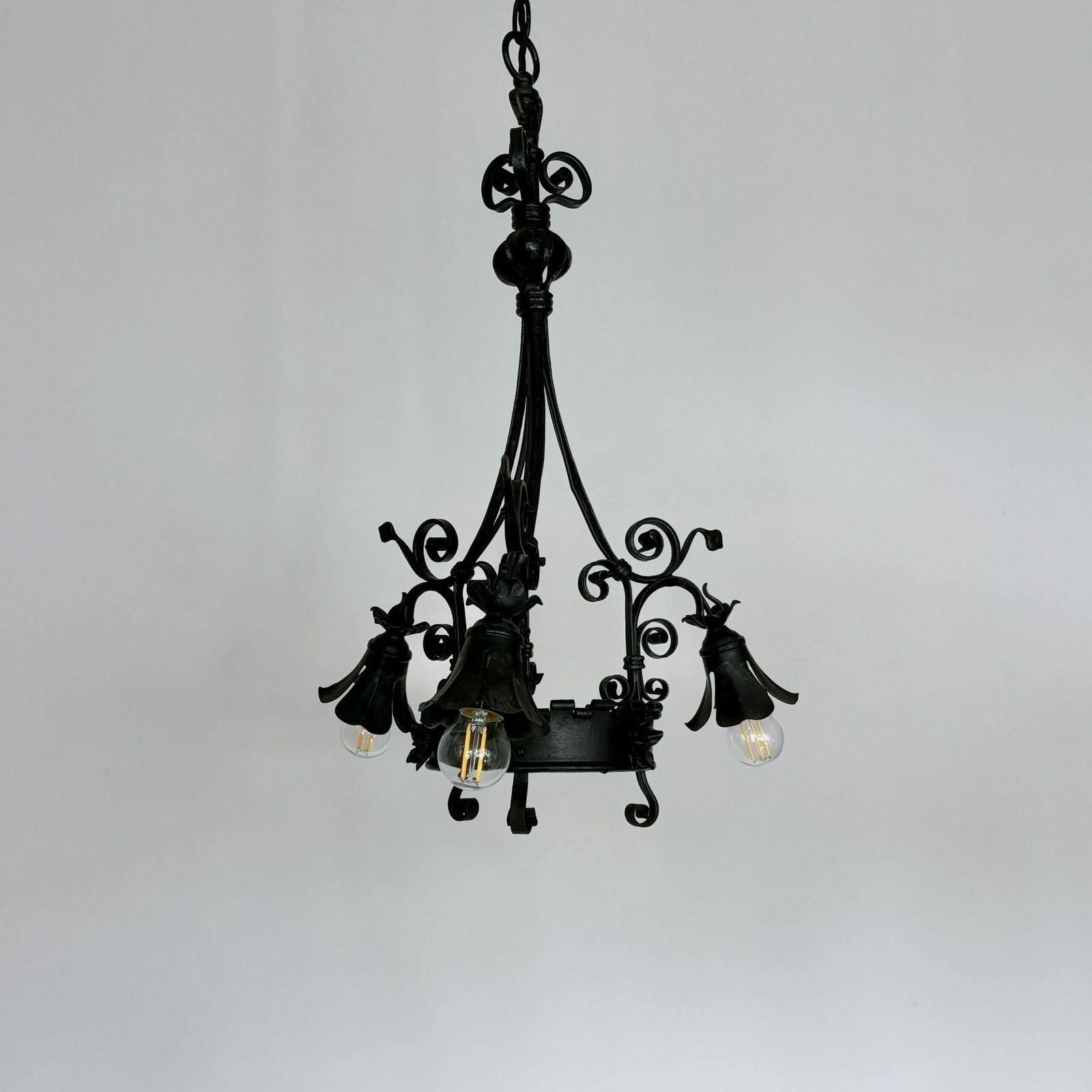 Ornate French Black Wrought Iron Chandelier
