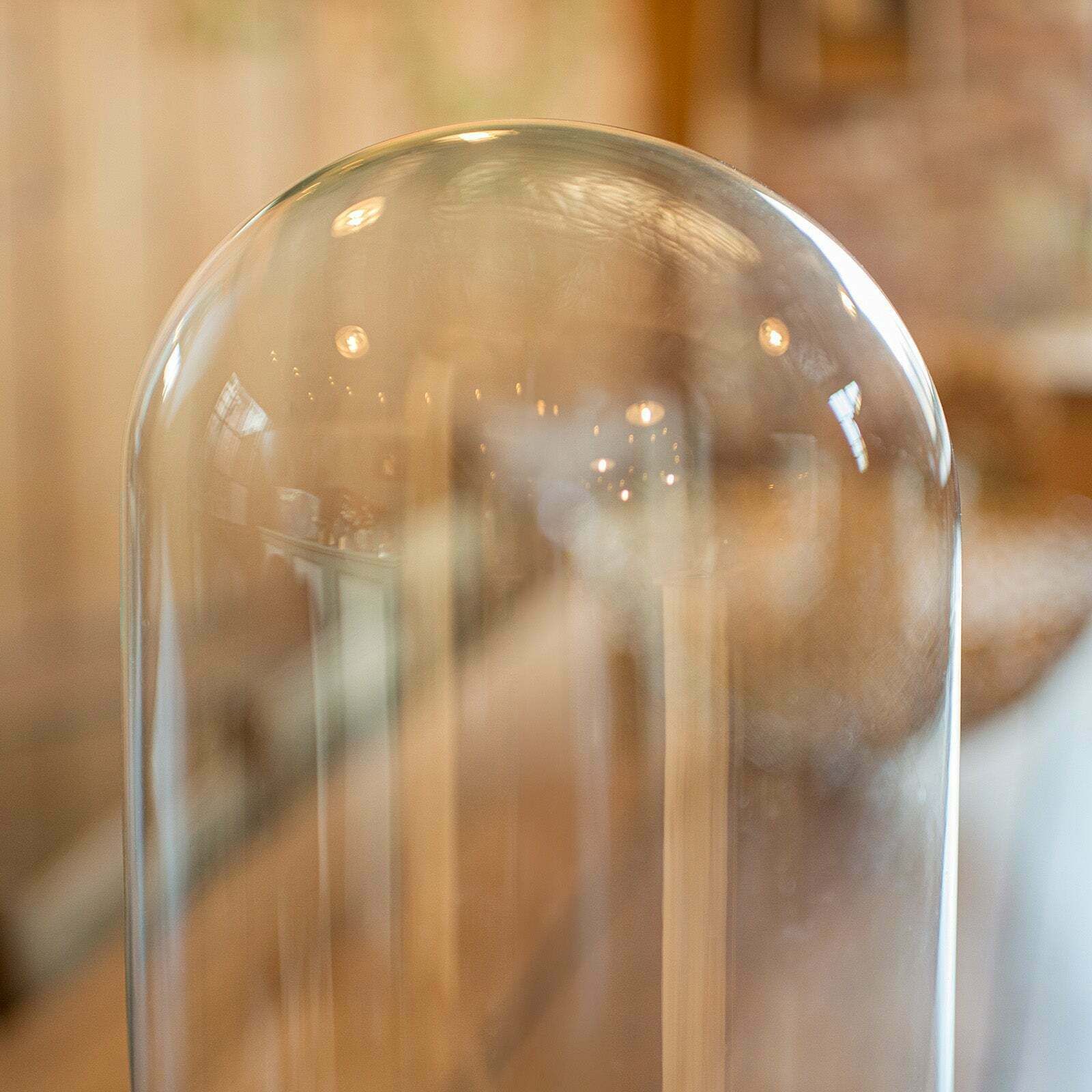 Antique Tall Display Showcase, English, Taxidermy, Ornament Dome, Victorian photo Home Decor
