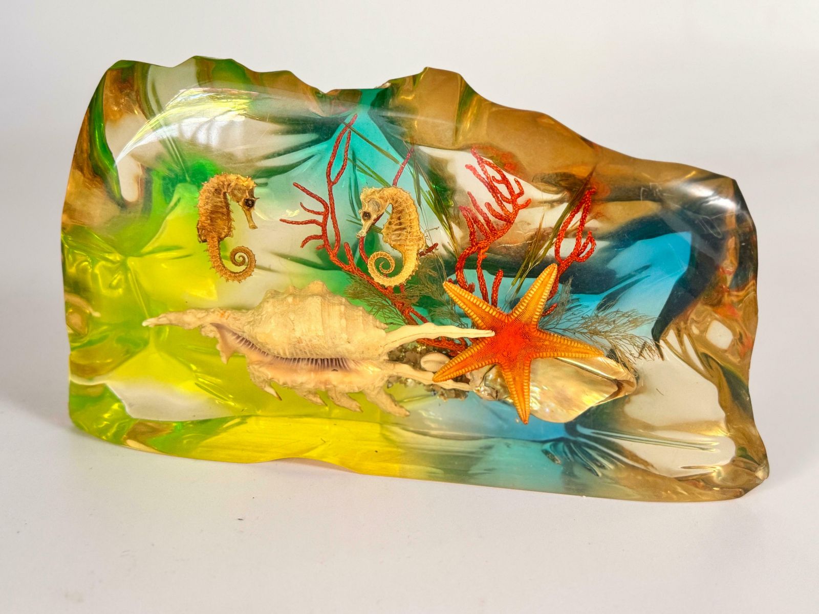 French, 1970s, Lucite Resin Cube Sculpture With With Seashells Andhyphocampi photo vinterior