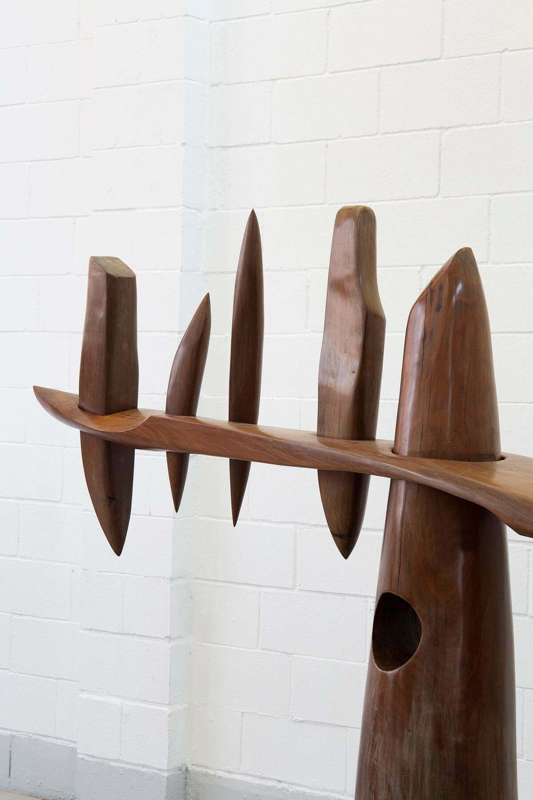 The Tree Of Seven Possibilities From Elvio Becheroni's Amazonia Series photo for sale