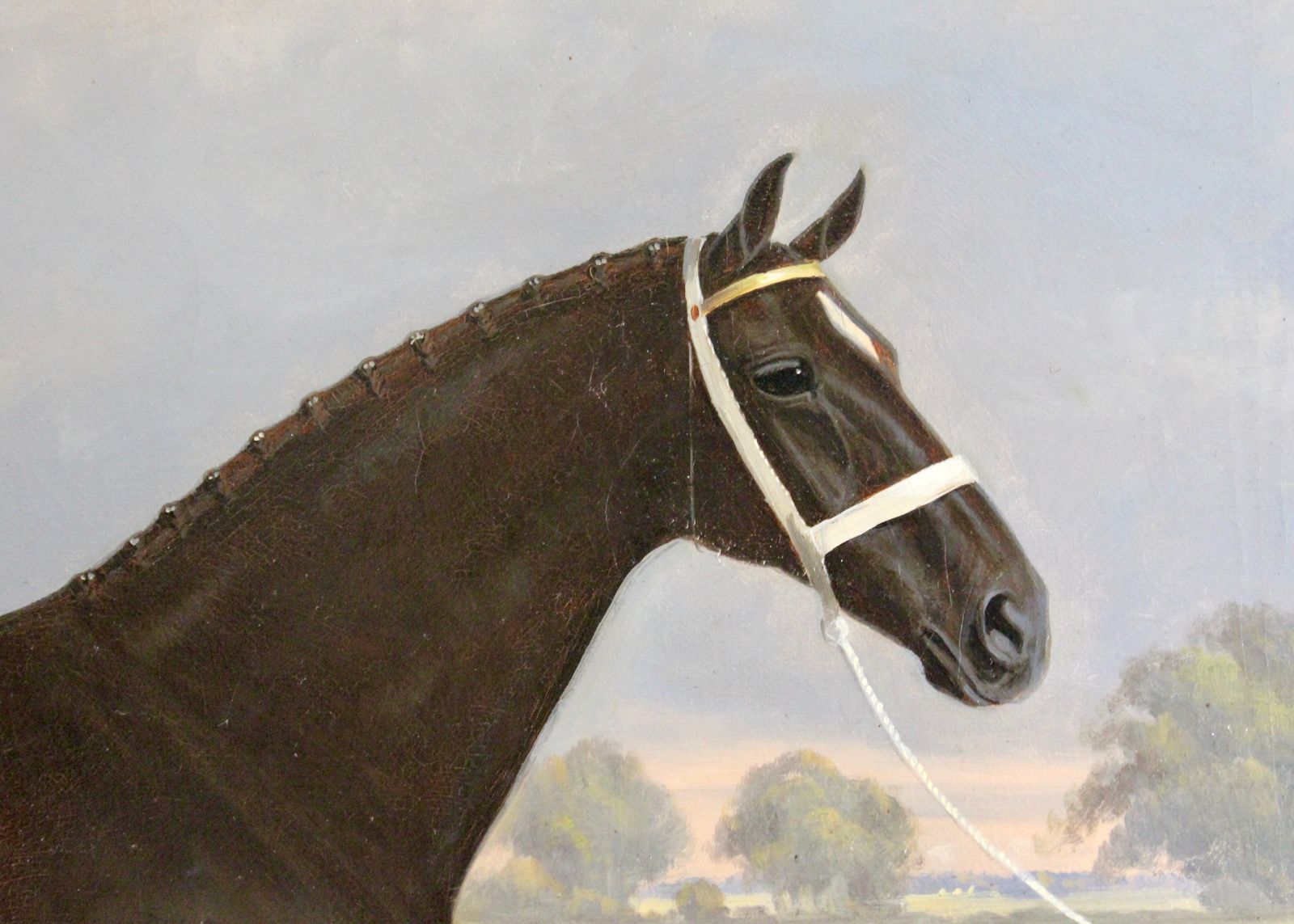 photo for sale Pair Of Stallion & Mare Hackney Champion Oil Paintings By W.A. Clark