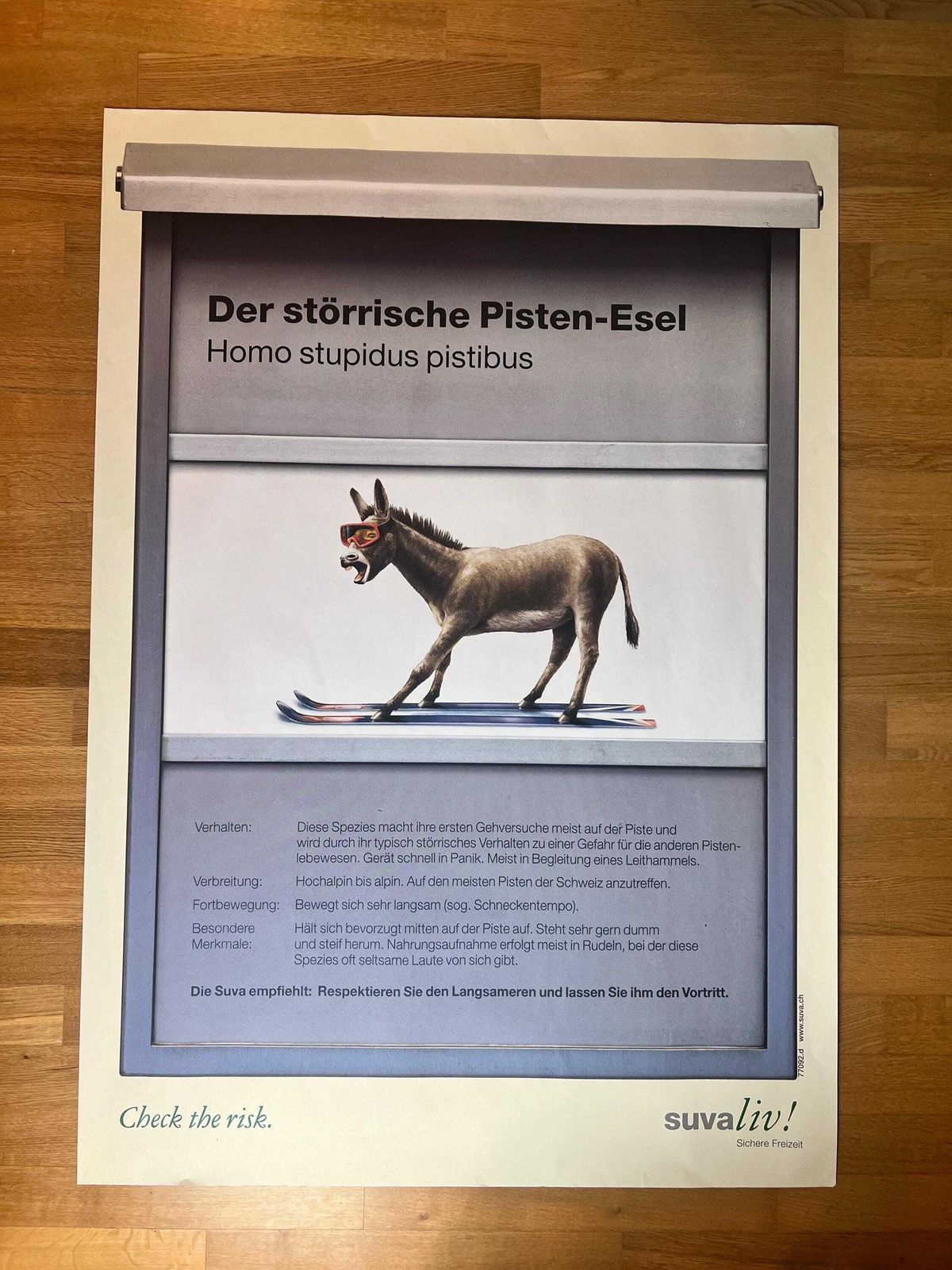 Original Swiss Vintage Poster 1999, Suvaliv Insurance Company Accident Prevention Poster, Swiss Ski Poster, 90s Art Poster, Swiss Donkey Art