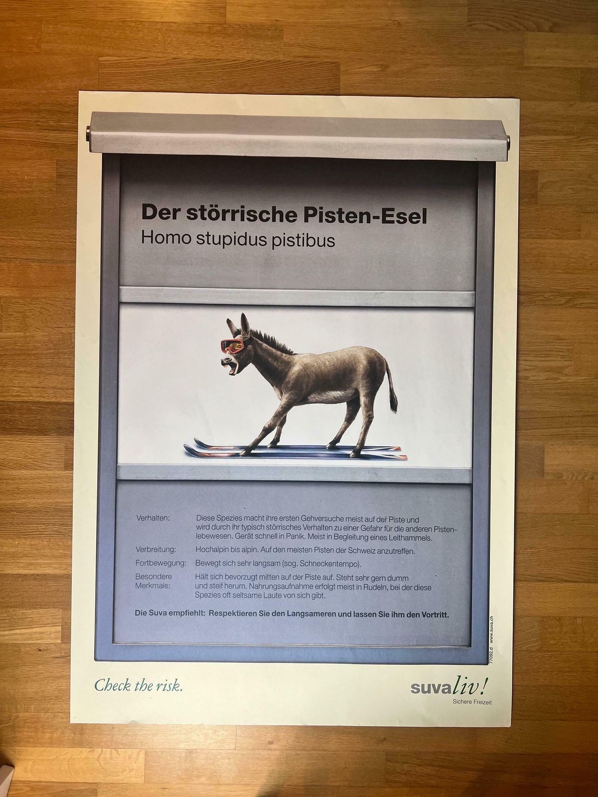 Original Swiss Vintage Poster 1999, Suvaliv Insurance Company Accident Prevention Poster, Swiss Ski Poster, 90s Art Poster, Swiss Donkey Art photo Art
