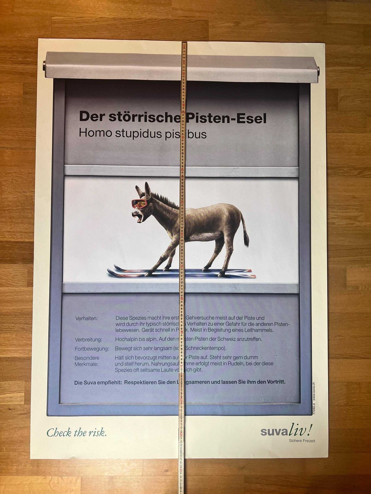 Original Swiss Vintage Poster 1999, Suvaliv Insurance Company Accident Prevention Poster, Swiss Ski Poster, 90s Art Poster, Swiss Donkey Art photo 482.0