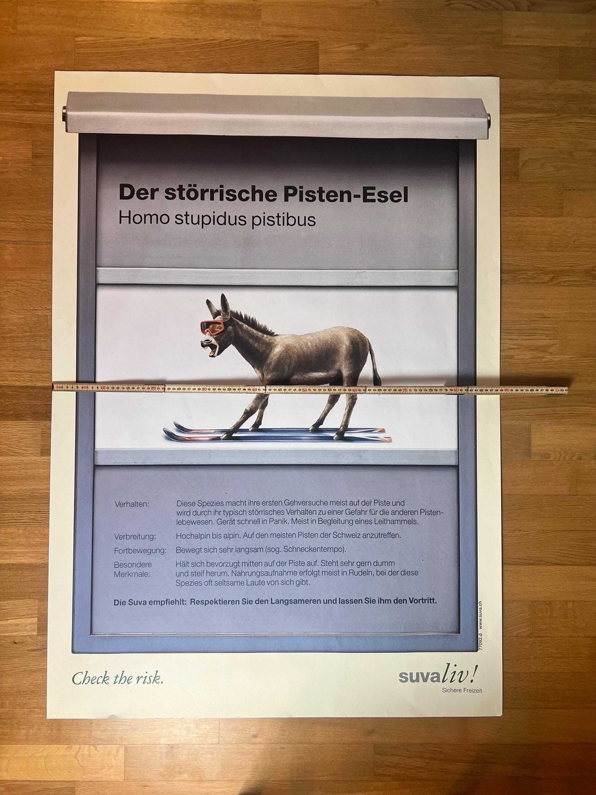 Original Swiss Vintage Poster 1999, Suvaliv Insurance Company Accident Prevention Poster, Swiss Ski Poster, 90s Art Poster, Swiss Donkey Art photo buy