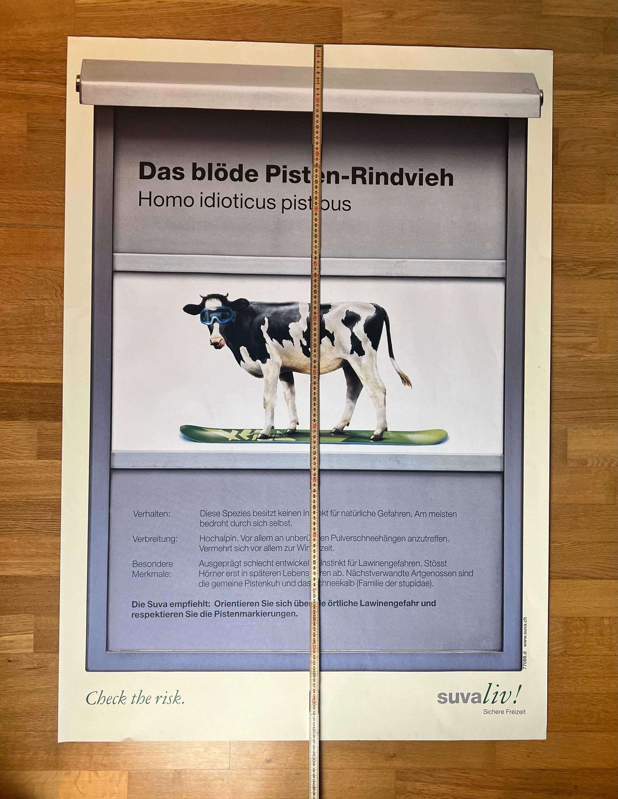 Original Swiss Vintage Poster 1999, Suvaliv Insurance Company Accident Prevention Poster, Swiss Ski Poster, 90s Art Poster, Swiss Cow Art photo vintage