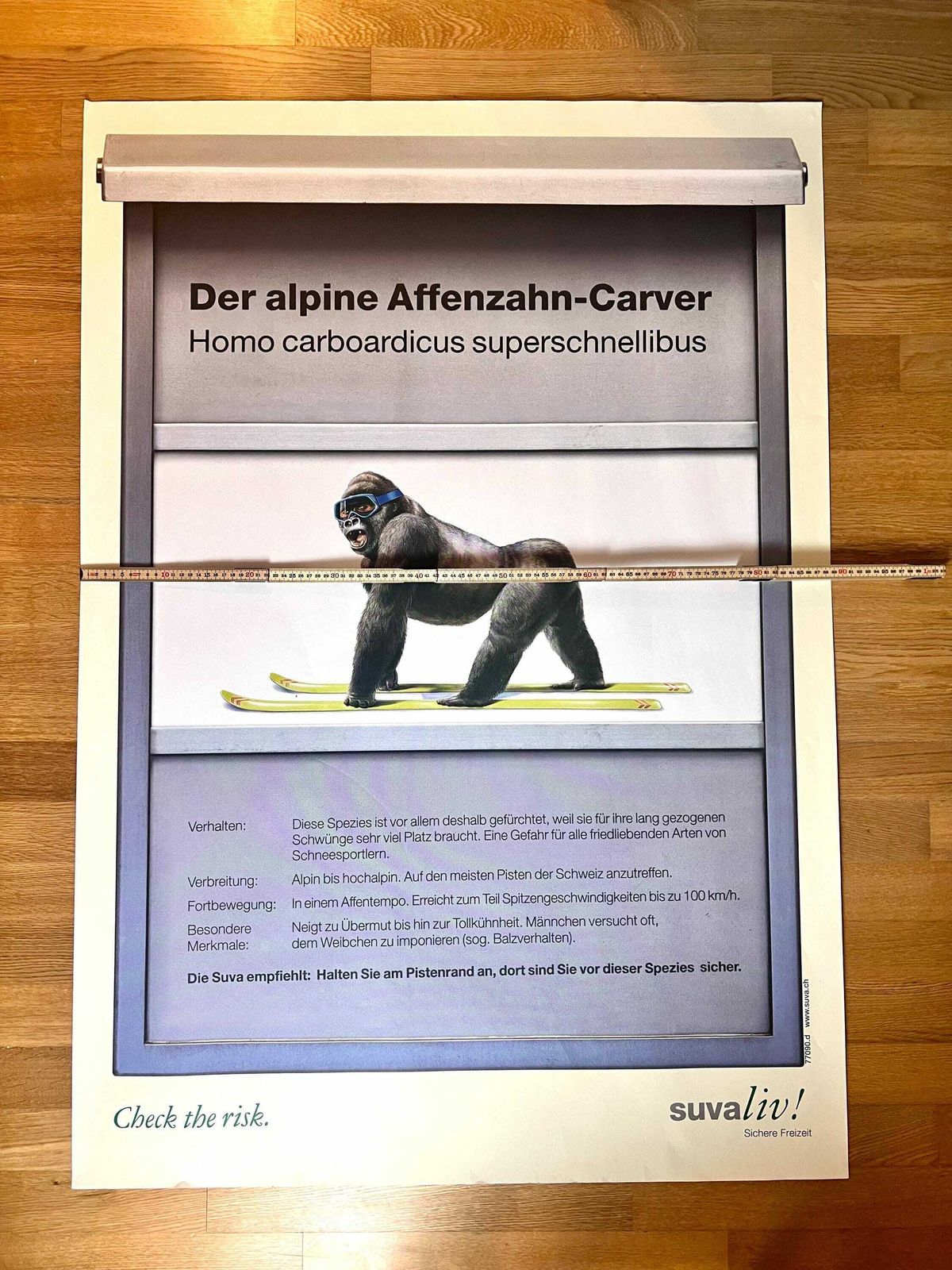Original Swiss Vintage Poster 1999, Suvaliv Insurance Company Accident Prevention Poster, Swiss Ski Poster, 90s Art Poster, Monkey Art photo 482.0