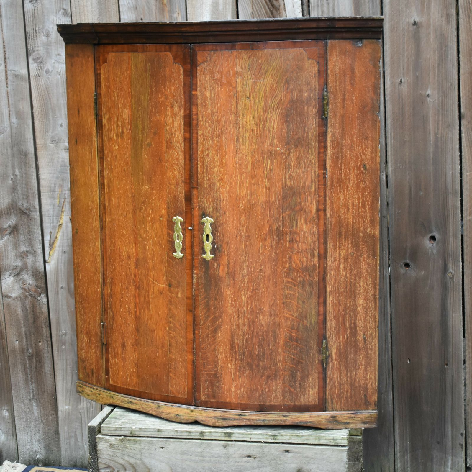 Antique 1770 Georgian Bow Fronted Satinwood Mahogany Corner Cabinet Cupboard photo vinterior