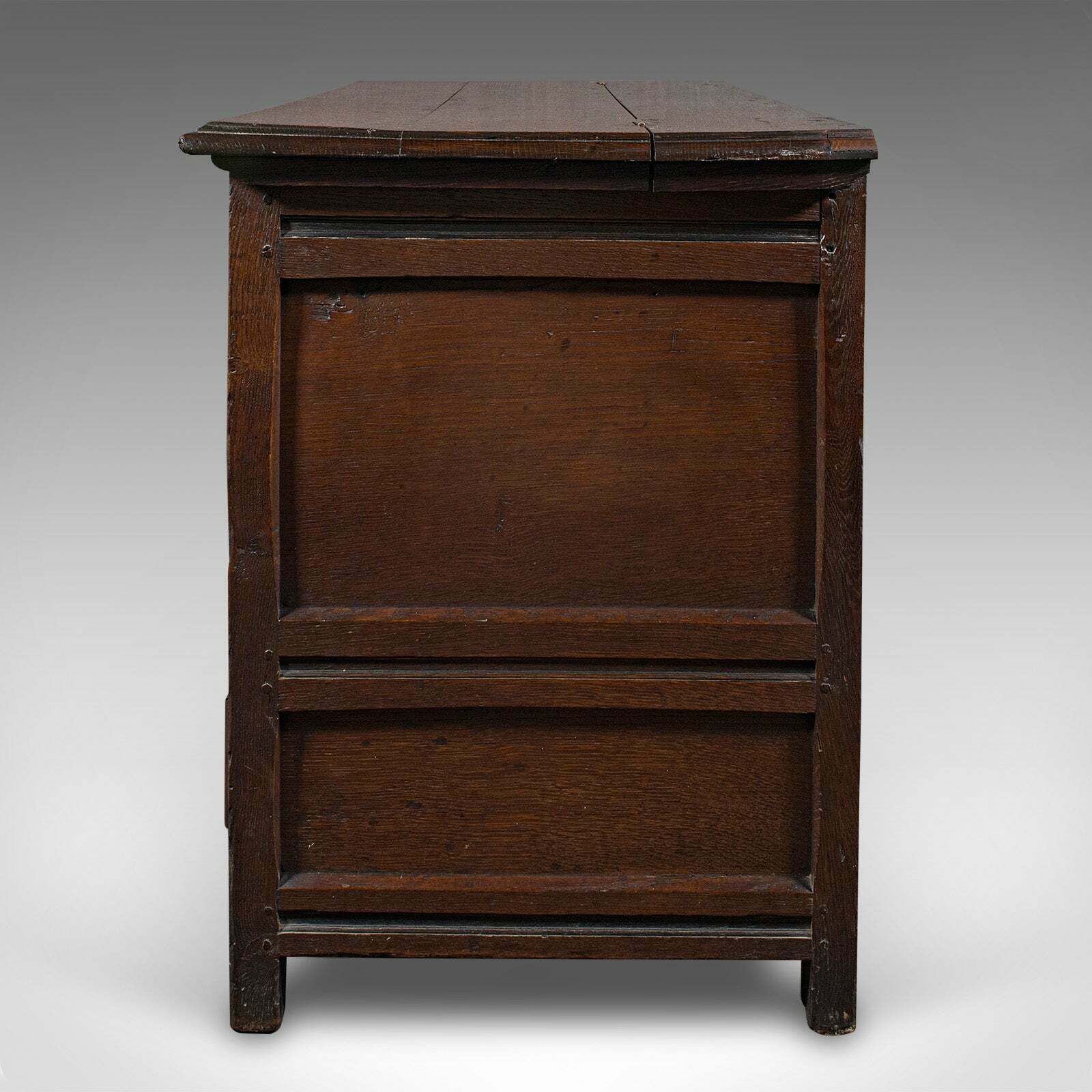 Large Antique Mule Chest, English, Carved Oak, Coffer, William III, Circa 1700 photo vinterior