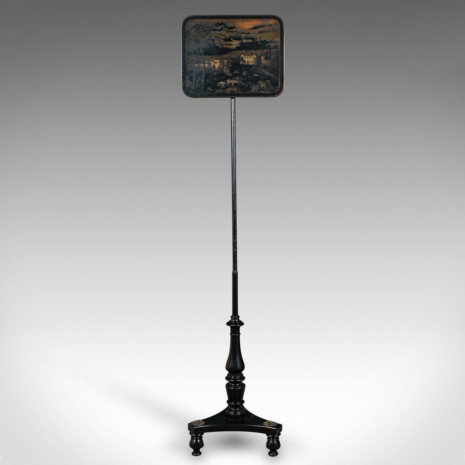 Antique Fireside Pole Screen, English, Height Adjustable, Aesthetic, Victorian photo furniture