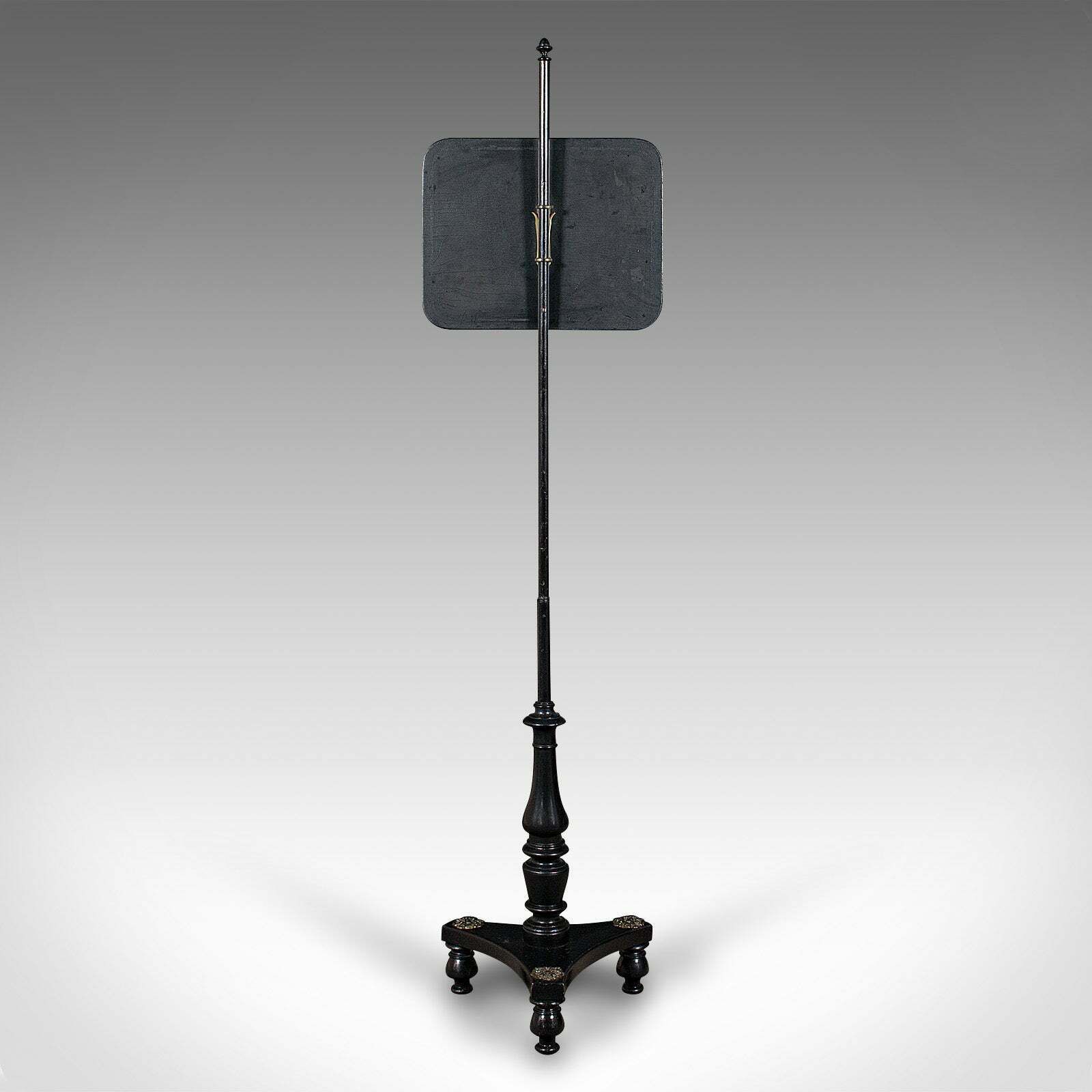 Antique Fireside Pole Screen, English, Height Adjustable, Aesthetic, Victorian photo vinterior