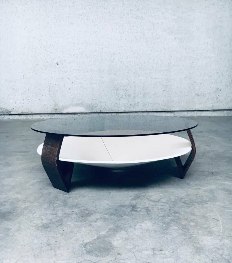 Midcentury Modern Dutch Design Wenge & Smoke Glass Coffee Table, Netherlands 1960's photo Furniture