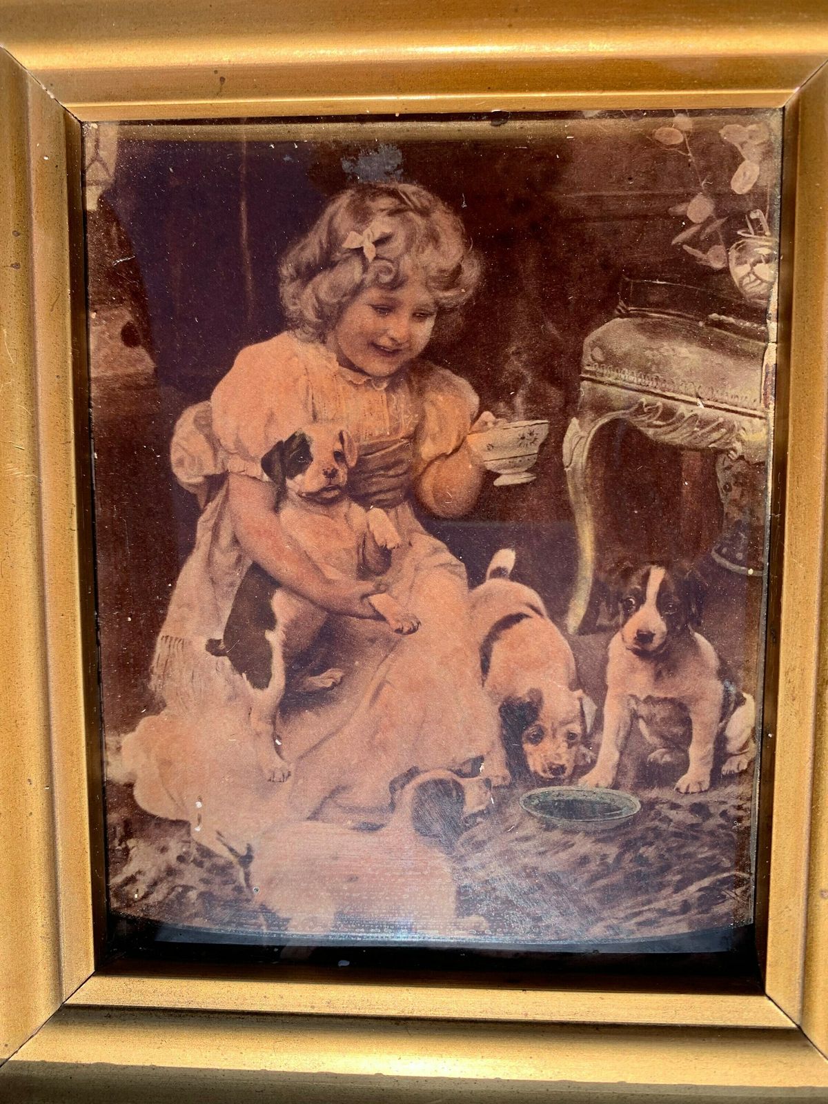 Pair Of Victorian Antique Crystoleum Pictures Of A Young Girl With Her Pet Dogs photo for sale