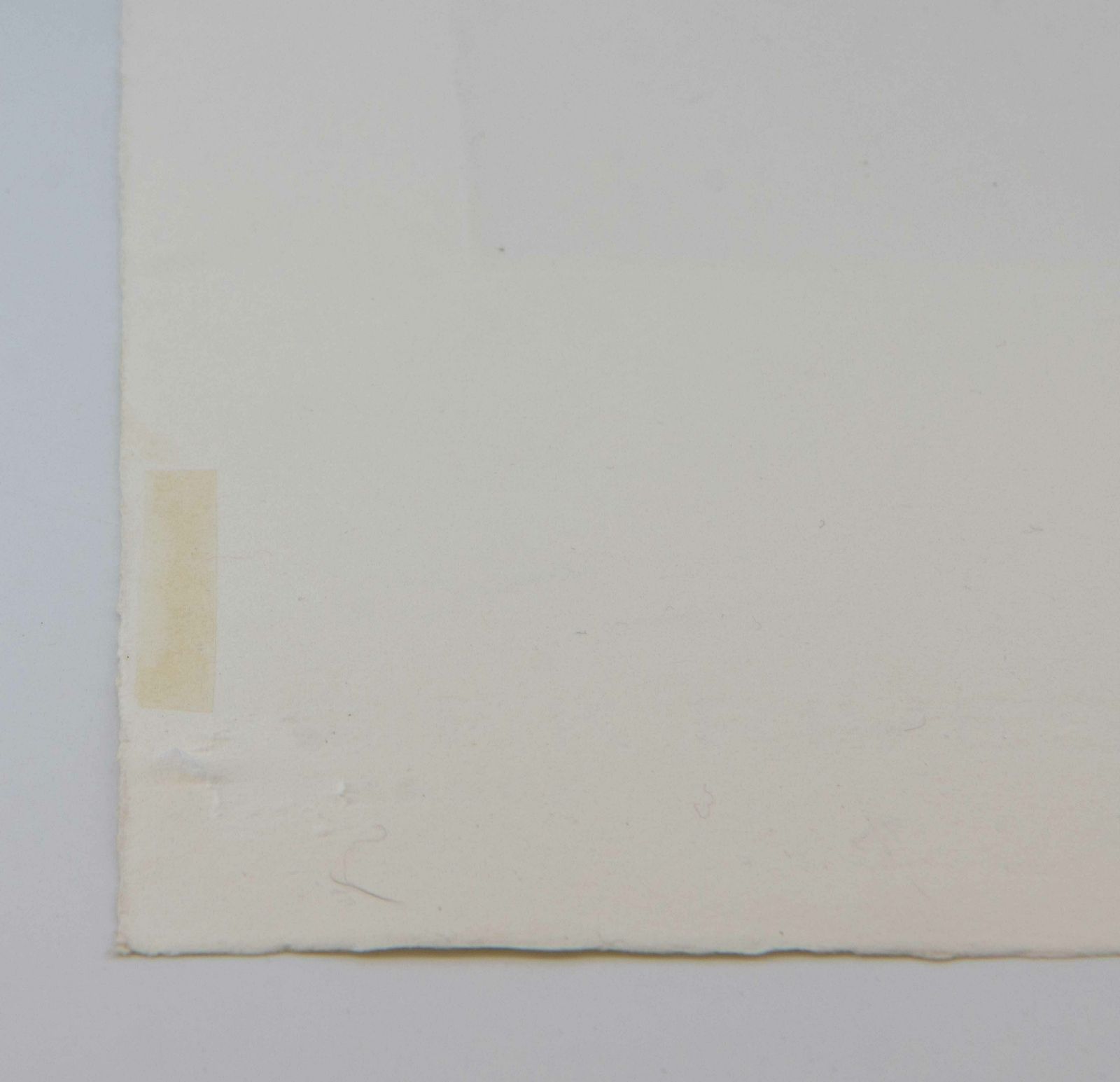 Keiko Minami Signed Etching With Aquatint On Bfk Rives Wove 'L’oisen Vert'. Circa 1977 photo buy