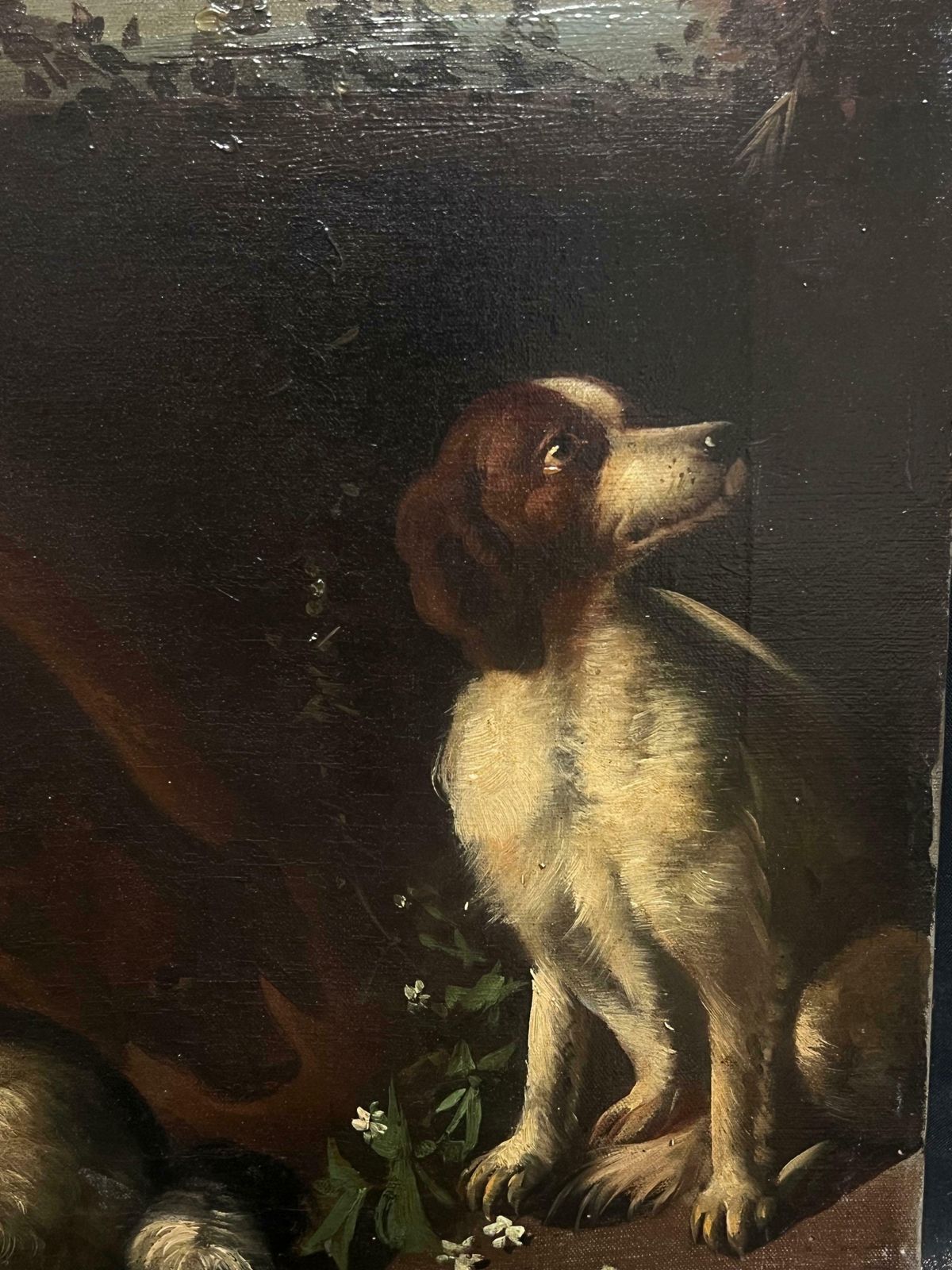 Italian 19th Centurylarge Antique Oil Still Life With Hunting Dogs & Game Classic Sporting Scene19th Century photo 2240.0