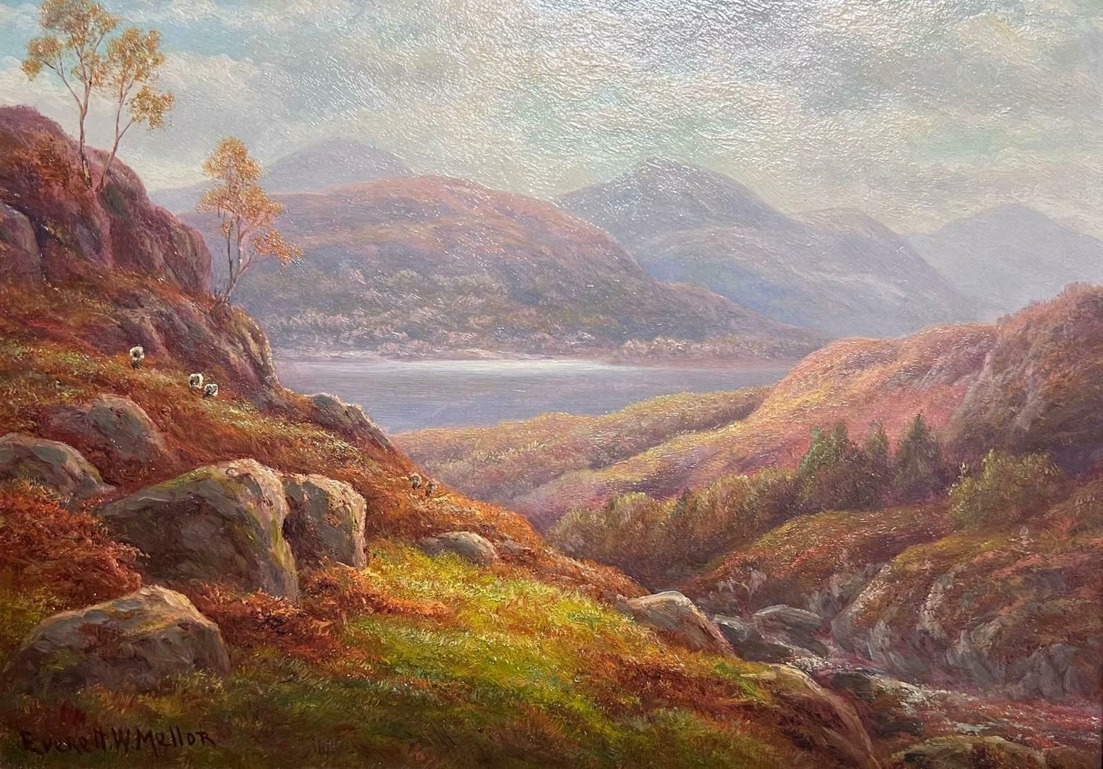 Everett Watson Mellorantique Scottish Oil Autumn Highlands Tranquil Landscape With Sheep Oil Painting