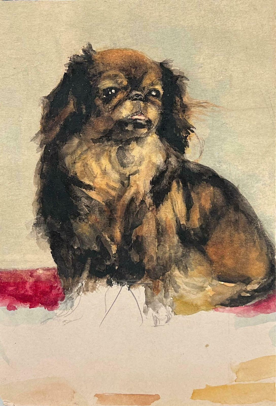 English Dog Paintingportrait Of A Pekingese Dog Charming Antique English Watercolour Painting19th Century