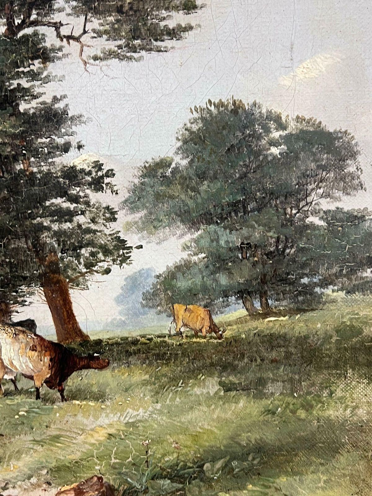 photo for sale British School Tranquil Pastoral Riverbank Grazing Cows Antique 19thc Painting Nottinghamshire1853