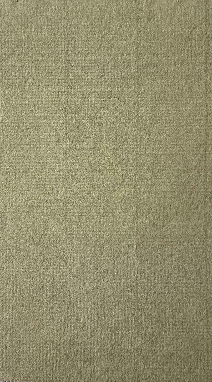 Caroline Worsleyfine Antique British Botanical Painting White Flower Plantc.1900's photo for sale