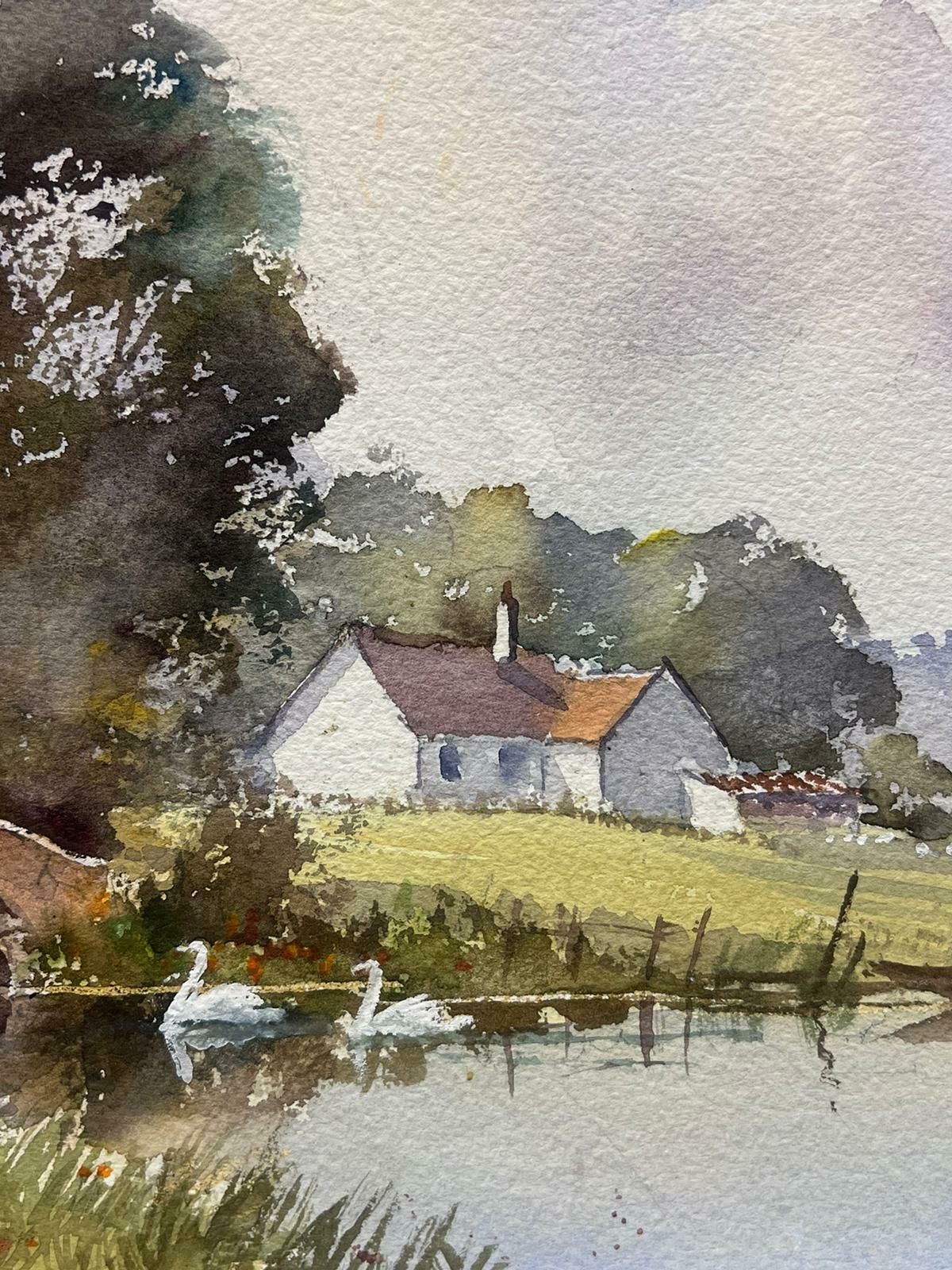 Anthony Averybritish Original Impressionist Watercolor Swans On Old English River Landscape photo 326.0