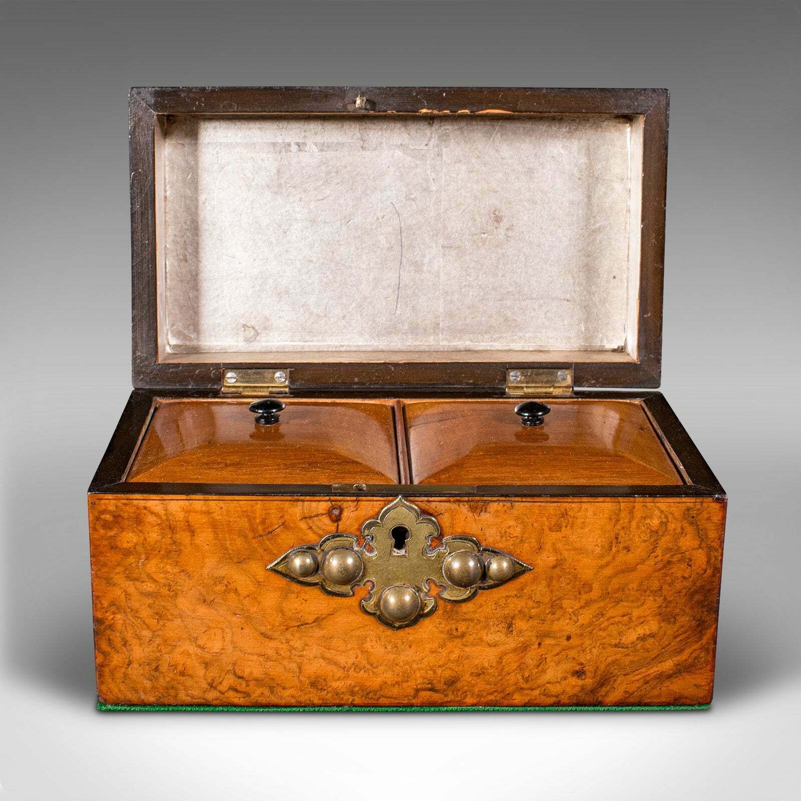 Antique Dome Top Tea Caddy, English, Burr Walnut, Box, Gothic Taste, Victorian photo Home Decor
