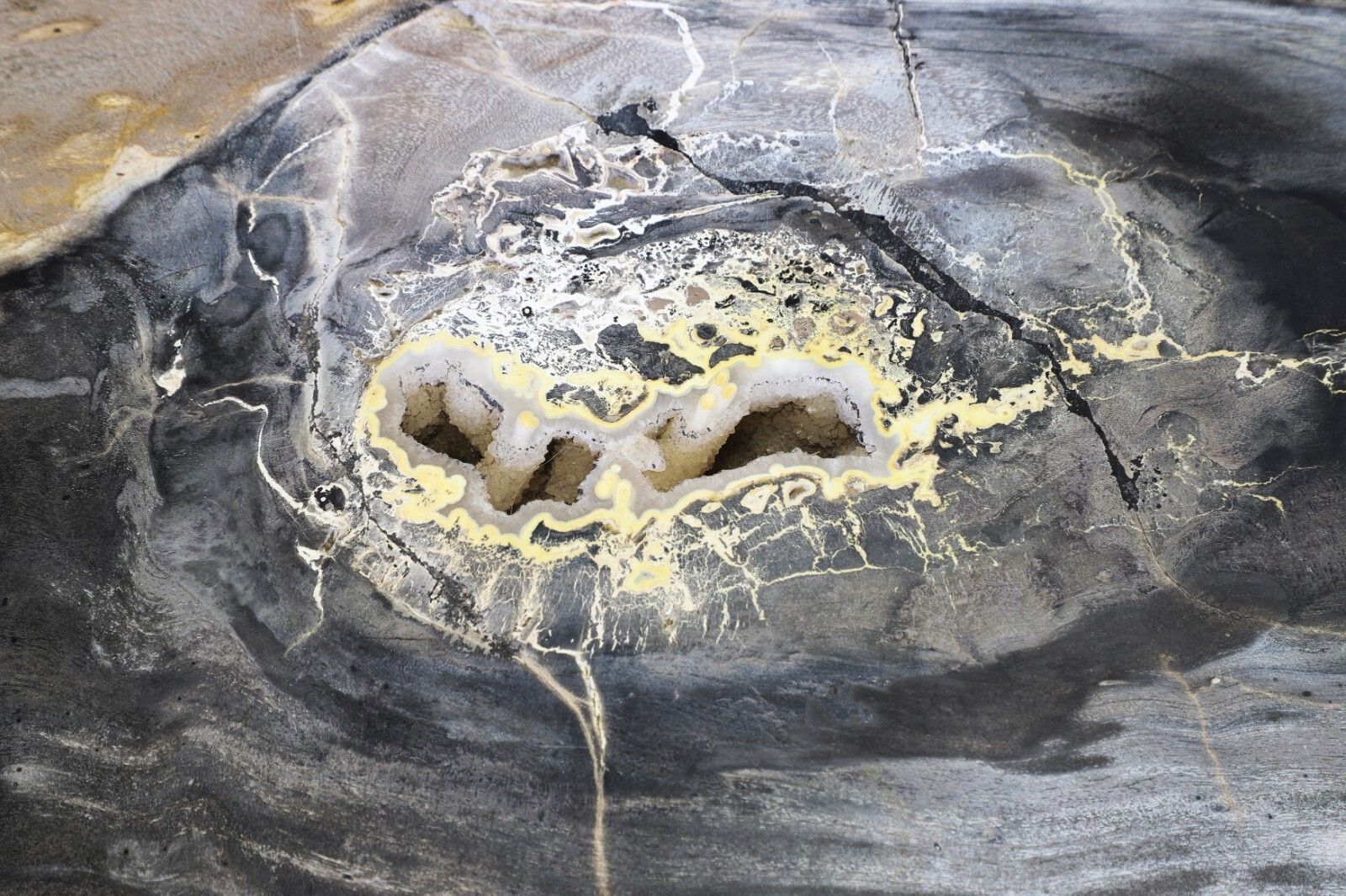 An Incredible Rare Brutalist Fossilised Wood Cast Iron Coffee Table photo for sale