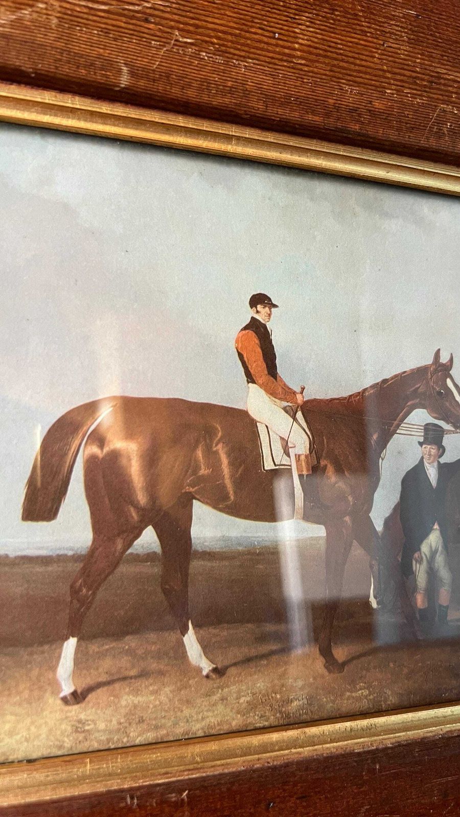 Elis   Equestrian 1900’s Picture After 1833 Painting Chestnut Horse By Abraham Cooper photo for sale