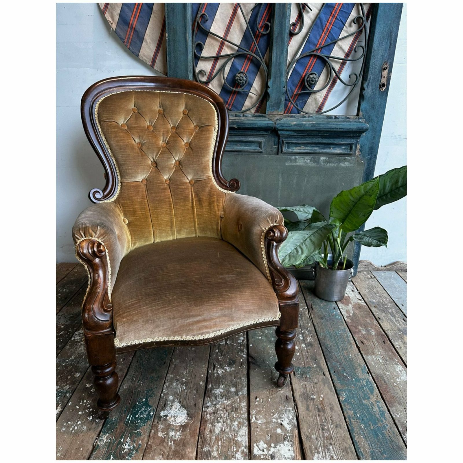 Beautiful English Velvet Chair W/ Mahogany Frame C.1910