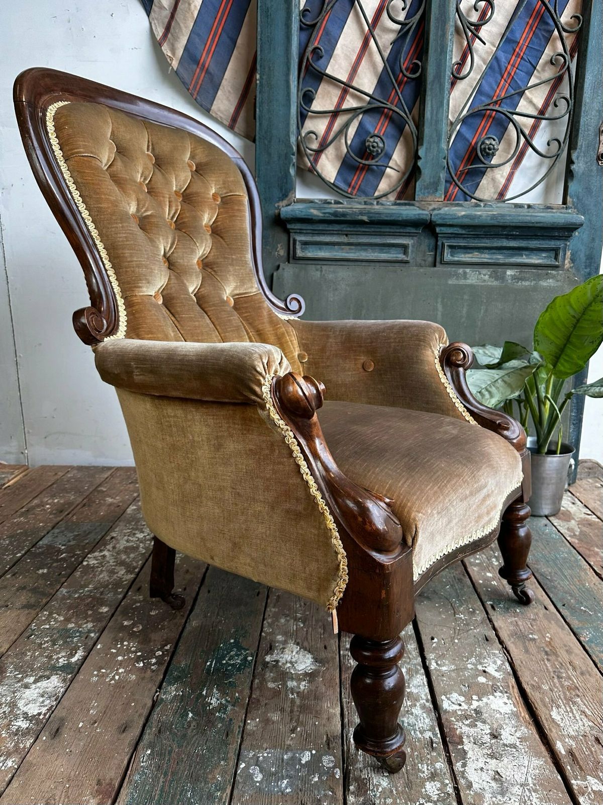 photo furniture Beautiful English Velvet Chair W/ Mahogany Frame C.1910