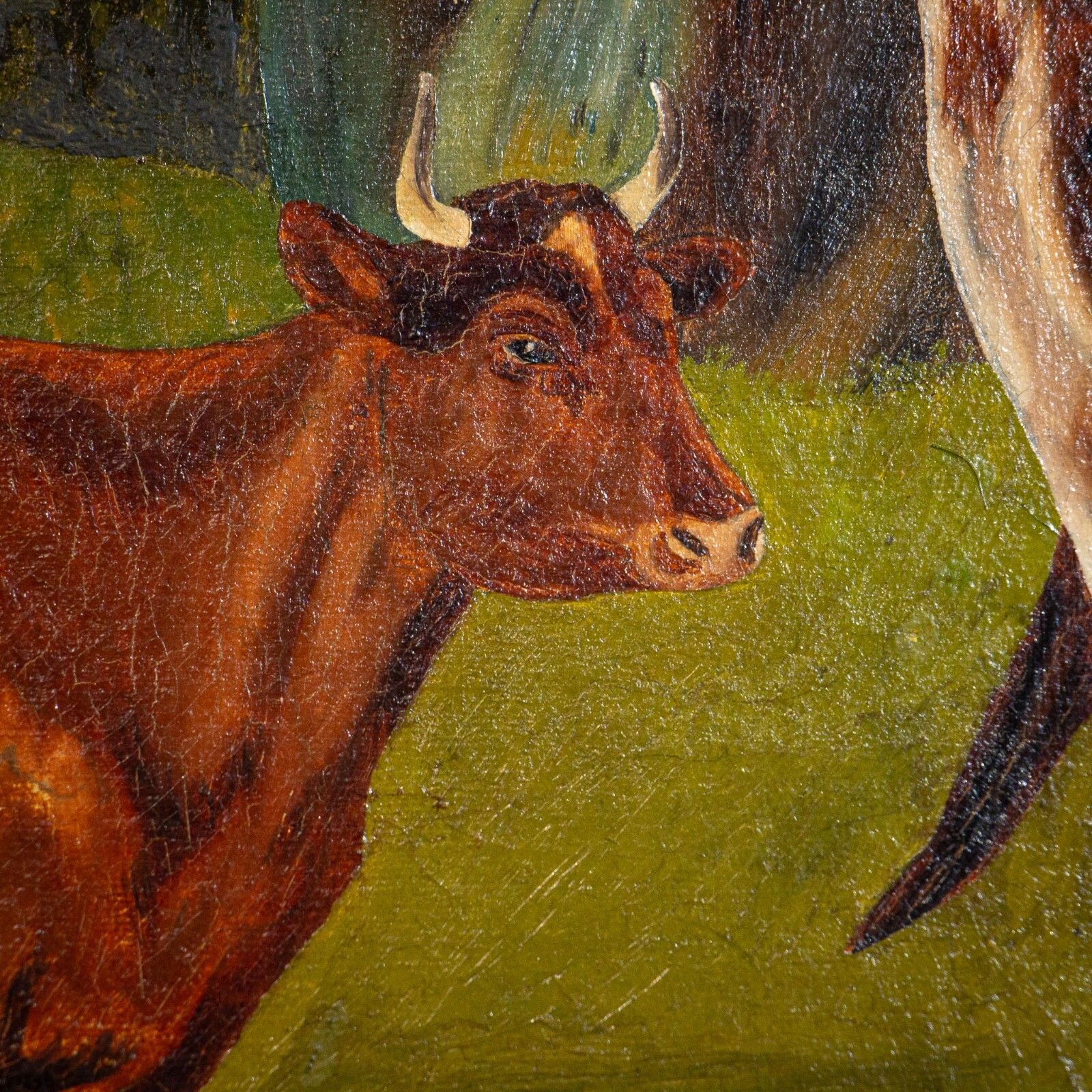 19th Century Oil On Canvas Painting Of Cattle photo buy