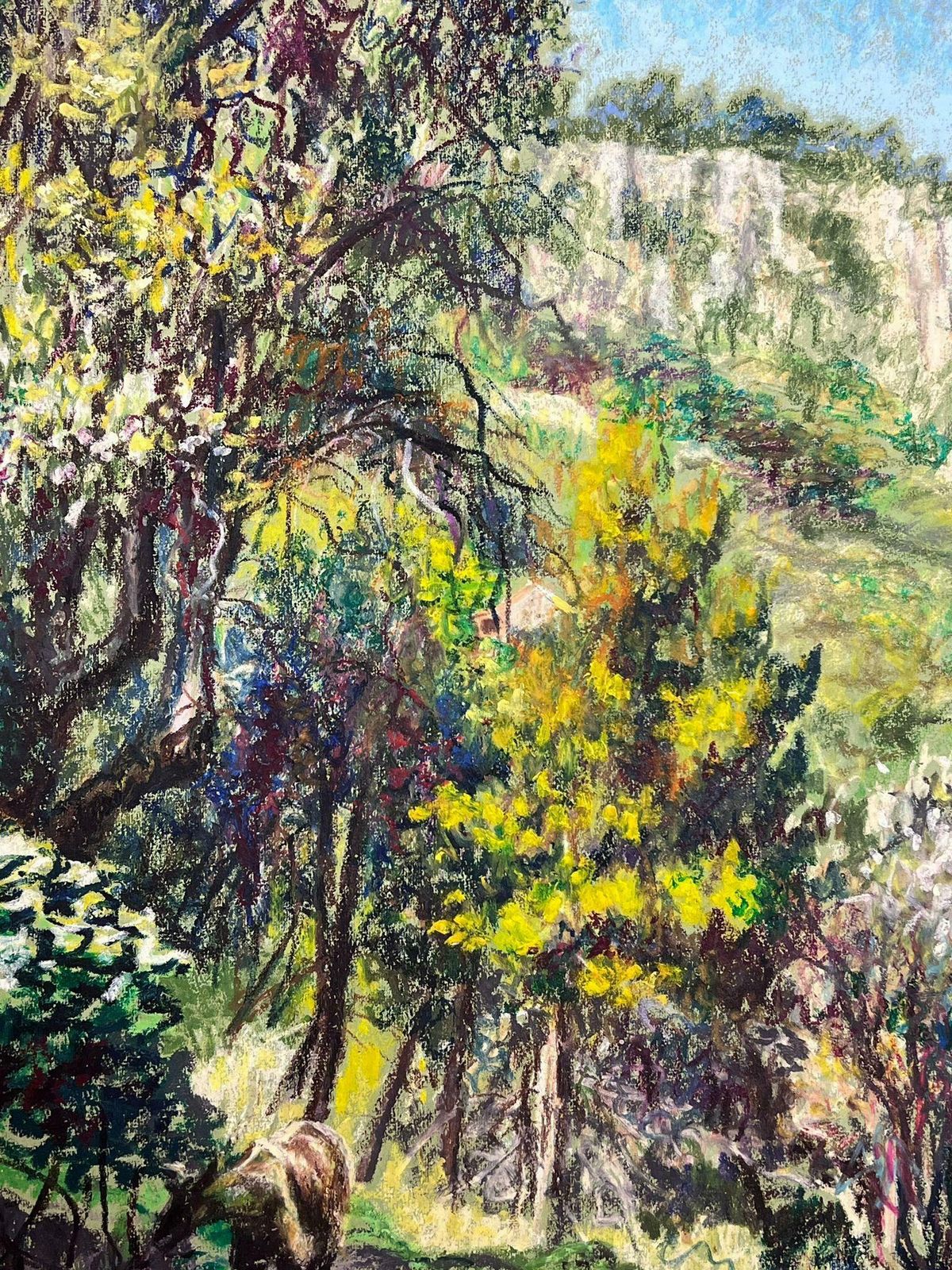 Josine Vignonmountain Goat Walking Up The Steps Below Menton, France Landscape1977 photo for sale
