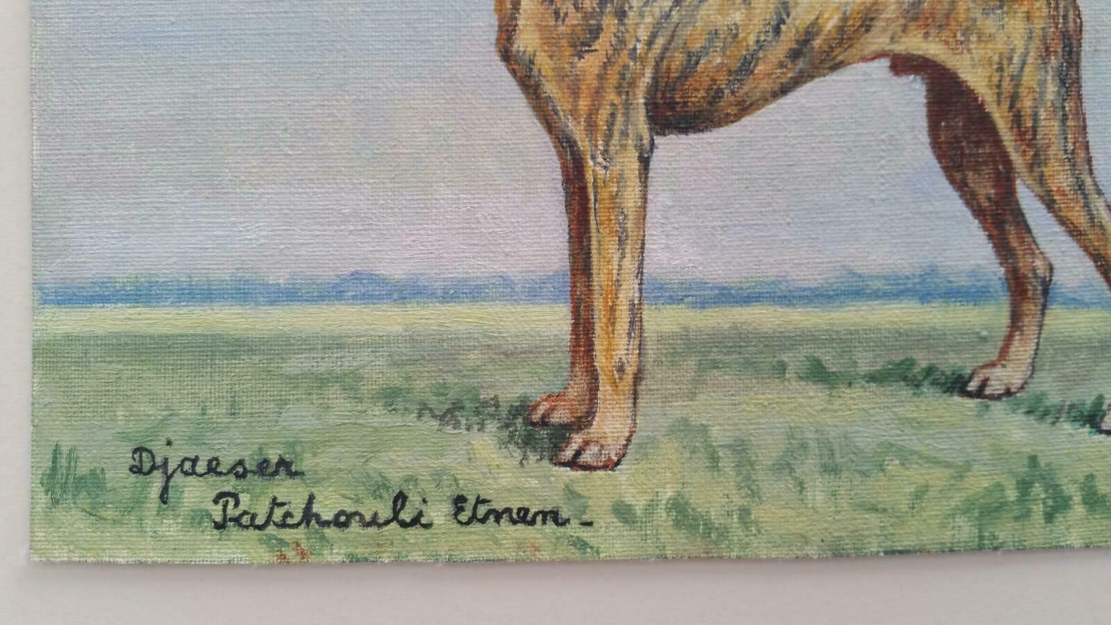 Dorothy Alexandra Johnsonenglish School 20th Century Oil Painting Of A Champion Sloughi Dog1970's photo 750.0