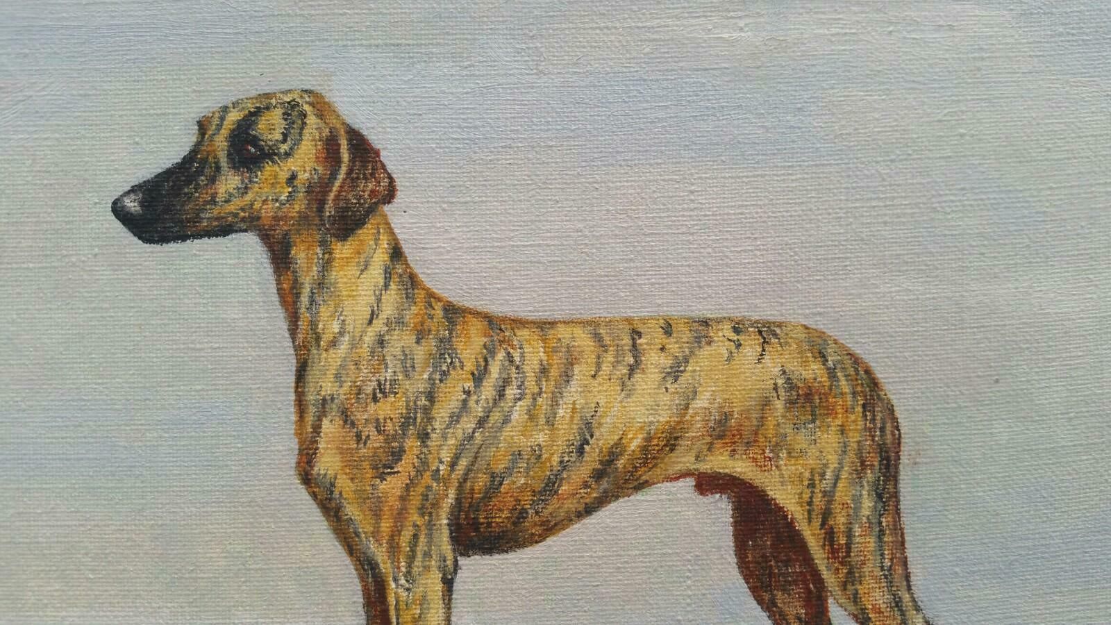 Dorothy Alexandra Johnsonenglish School 20th Century Oil Painting Of A Champion Sloughi Dog1970's photo vinterior