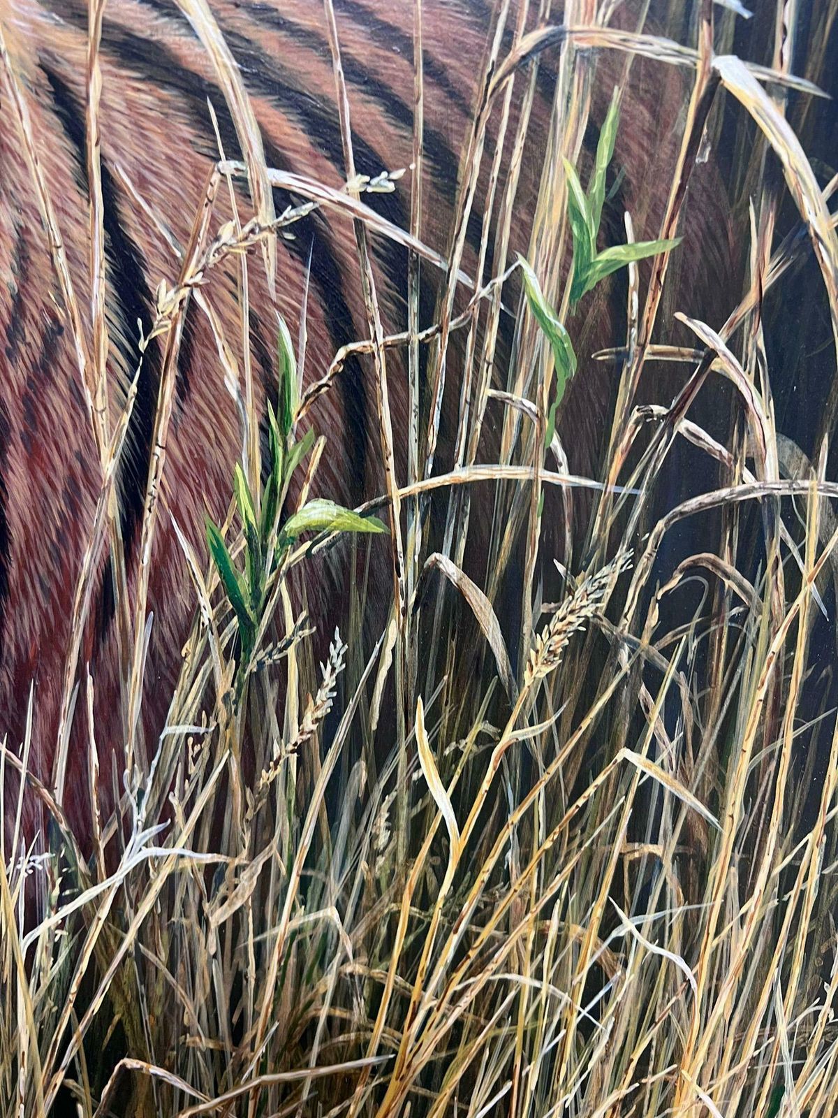 photo for sale British School Majestic Tiger Tall Grass Realistic Wildlife British Oil Painting Ornate Frame