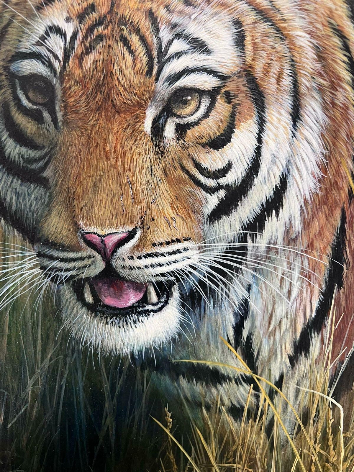 Art British School Majestic Tiger Tall Grass Realistic Wildlife British Oil Painting Ornate Frame photo