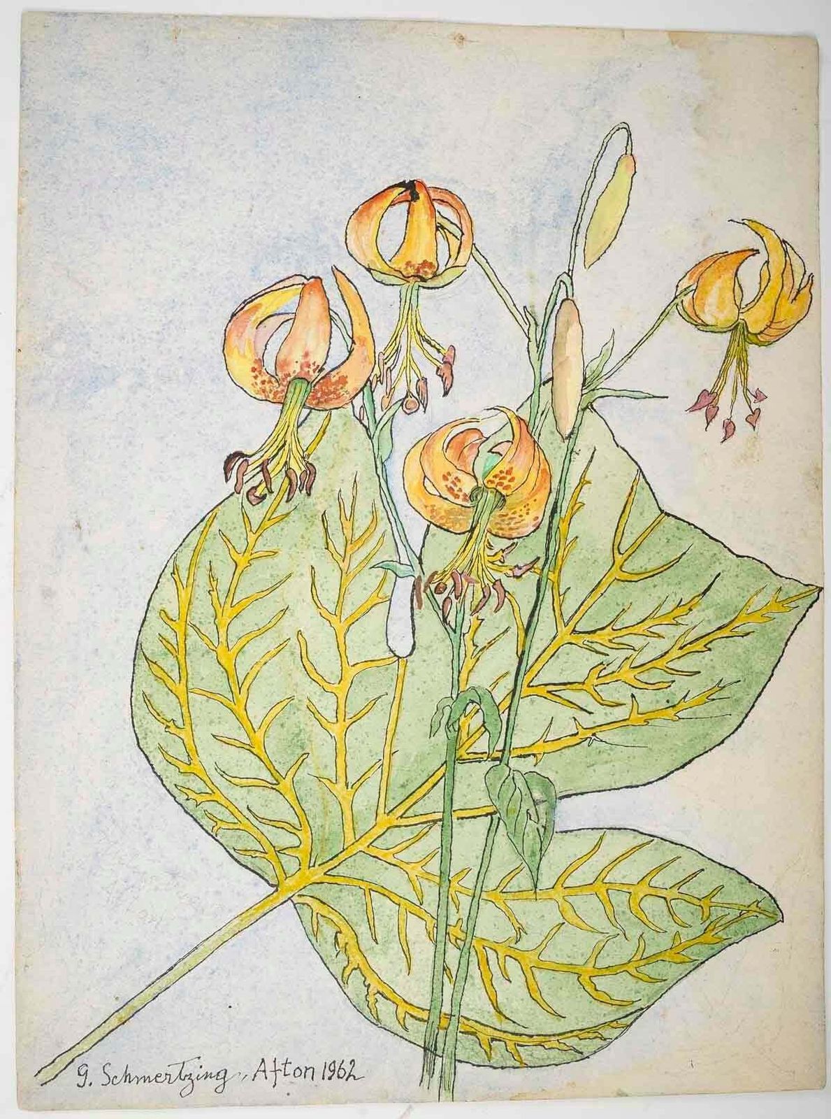 Double Sided Watercolour Of Plants, 20th Century, Afton, 1962. photo 401.0