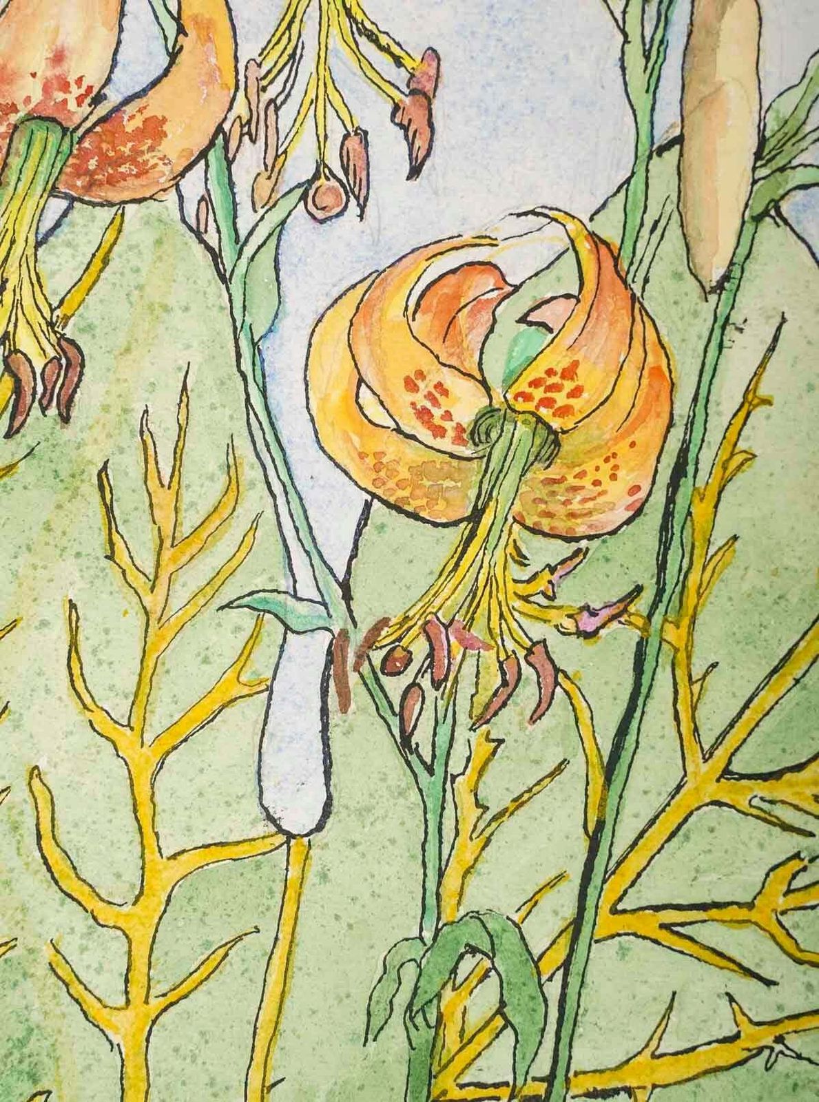 Double Sided Watercolour Of Plants, 20th Century, Afton, 1962. photo vinterior