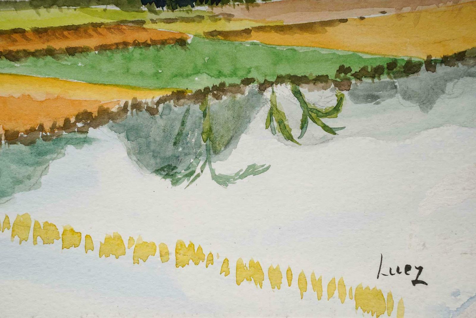 Watercolour Of A Rice Plantation In An Asian Landscape, 20th Century. photo Art
