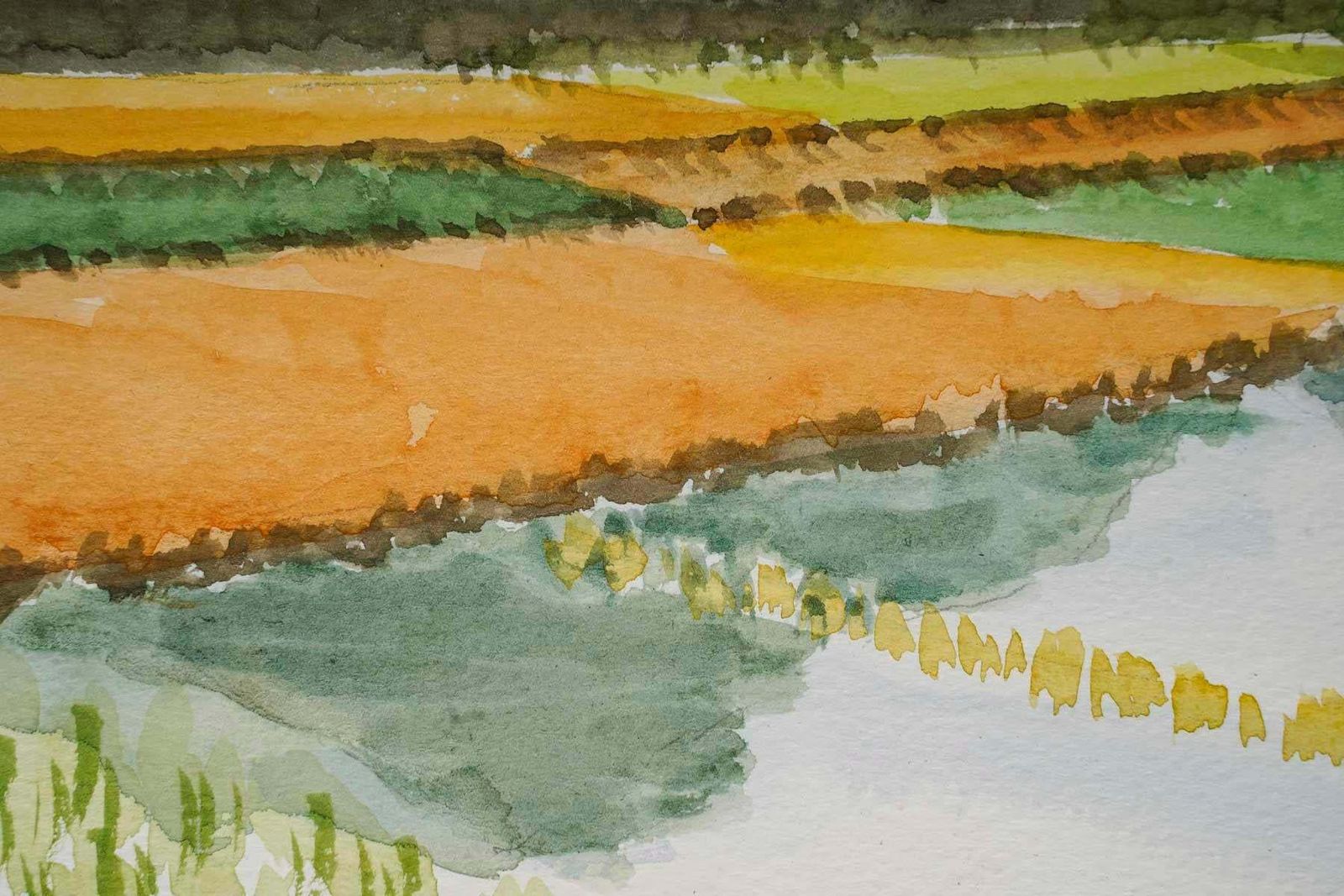 Watercolour Of A Rice Plantation In An Asian Landscape, 20th Century. photo 296.0