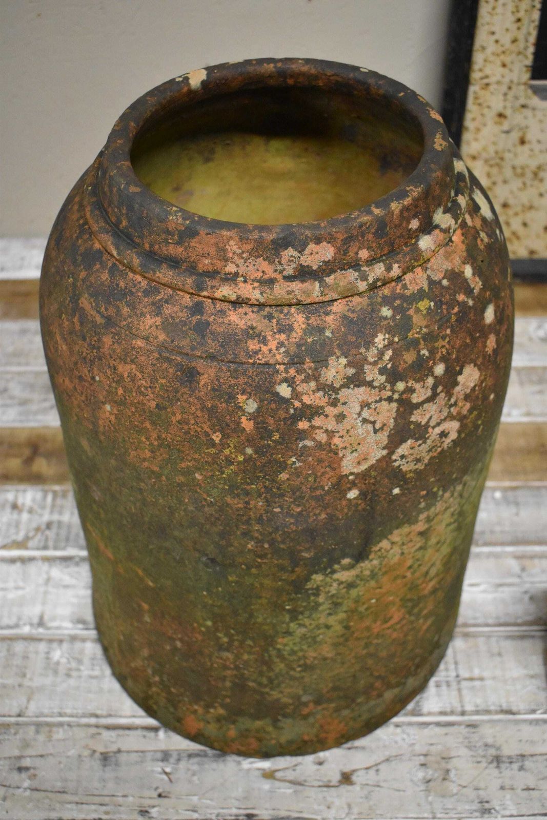 Large Weathered Terracotta Rhubarb / Kale Forcer Pot photo Home Decor