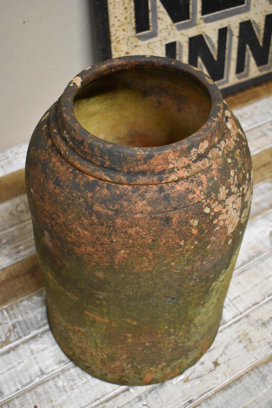 Large Weathered Terracotta Rhubarb / Kale Forcer Pot photo buy