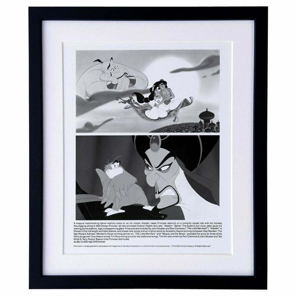 Aladdin  (1992)  Publicity Film Still  Framed